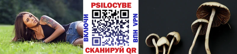 Псилоцибиновые грибы мухоморы  купить наркоту  Новая Ляля 